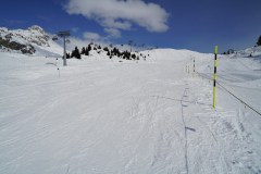 DSC05935-8381