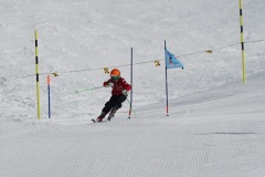DSC05937-8382
