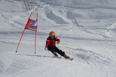 DSC05940-8384