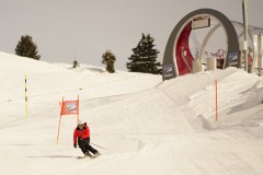 DSC05954-8393