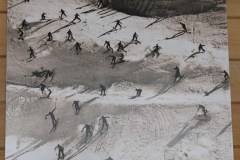 DSC01436-8567