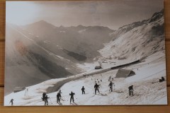 DSC01442-8569