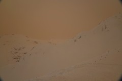 DSC05566-10283