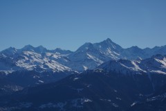 DSC00613-10107