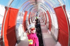 IMG_20230128_104612-11354