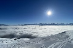 IMG_20230128_163104_147-11362