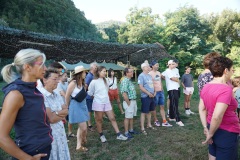 DSC01151-11943
