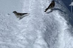 IMG-20240319-WA0006