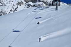 IMG-20240319-WA0019