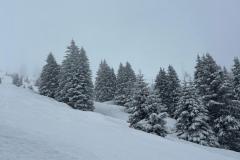 IMG-20250316-WA0040