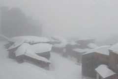 IMG-20250316-WA0053