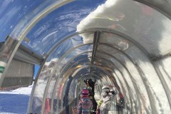 IMG_20180129_WA0012-9026