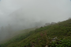 DSC02519-11231