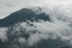 DSC02559-11239