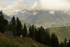 DSC03806-7659