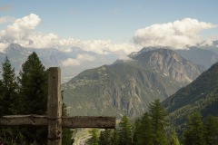 DSC03809-7661