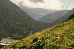 DSC03837-7677