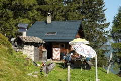 DSC04787