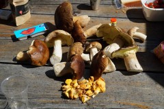 DSC09363-9964