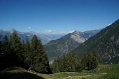 DSC09411-9983