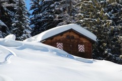 Bovinette_2014_020-5237