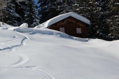 Bovinette_2014_023-5238