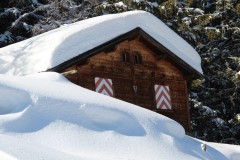 Bovinette_2014_024-5239