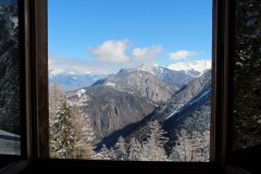 Bovinette_2014_029-5241