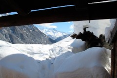 Bovinette_2014_036-5248