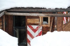 Bovinette_2014_039-5251