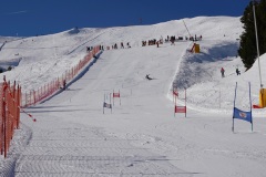 DSC08987-10663
