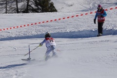 DSC09125-10733