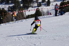 DSC09246-10788