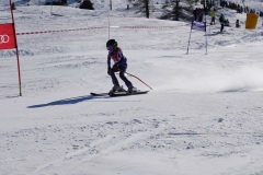 DSC09319-10823