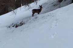 IMG_20160220_WA0001-7911