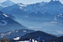 IMG-20250216-WA0013