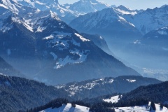 IMG-20250216-WA0014