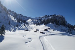 IMG-20250216-WA0044