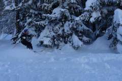 DSC01443_900-4393