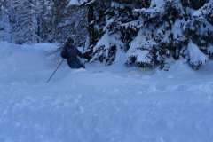 DSC01446_900-4395
