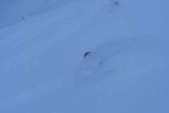 DSC01448_900-4396