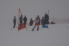 DSC04654