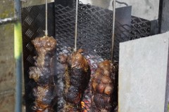 DSC03859-10239