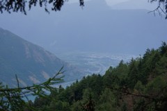 SONY DSC