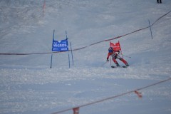 DSC_0050-4991