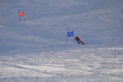 DSC_0223-5015