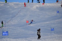 DSC_0484-5049
