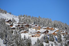 DSC_0623-5097