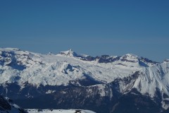 DSC06479-9522