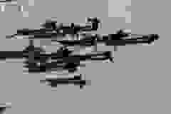52770511_1204343283068181_1604097236252229632_o-196